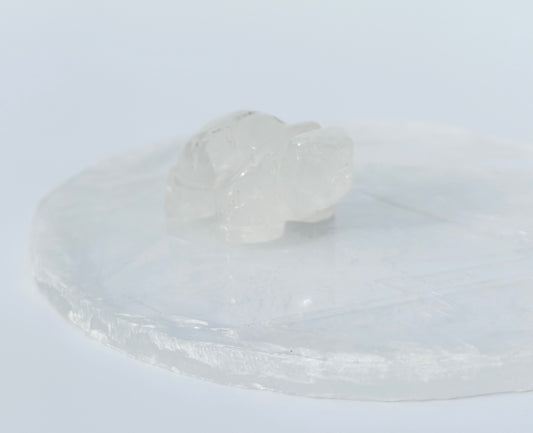 Clear Quartz Turtle