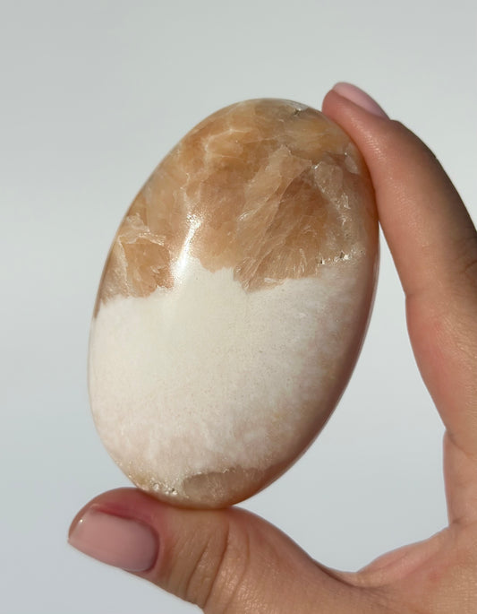 Stilbite Palm