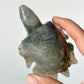 Moss Agate Turtle