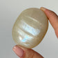 White Moonstone Palm