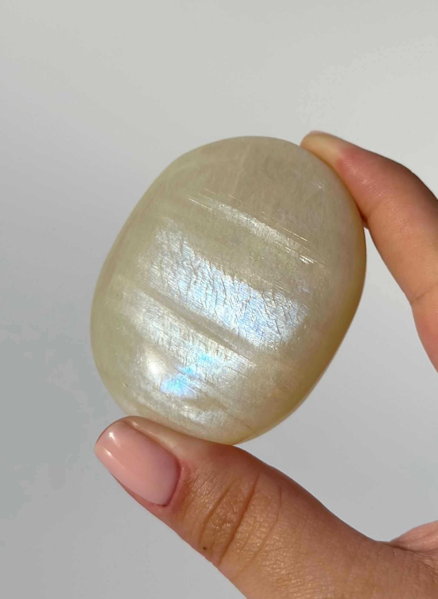 White Moonstone Palm