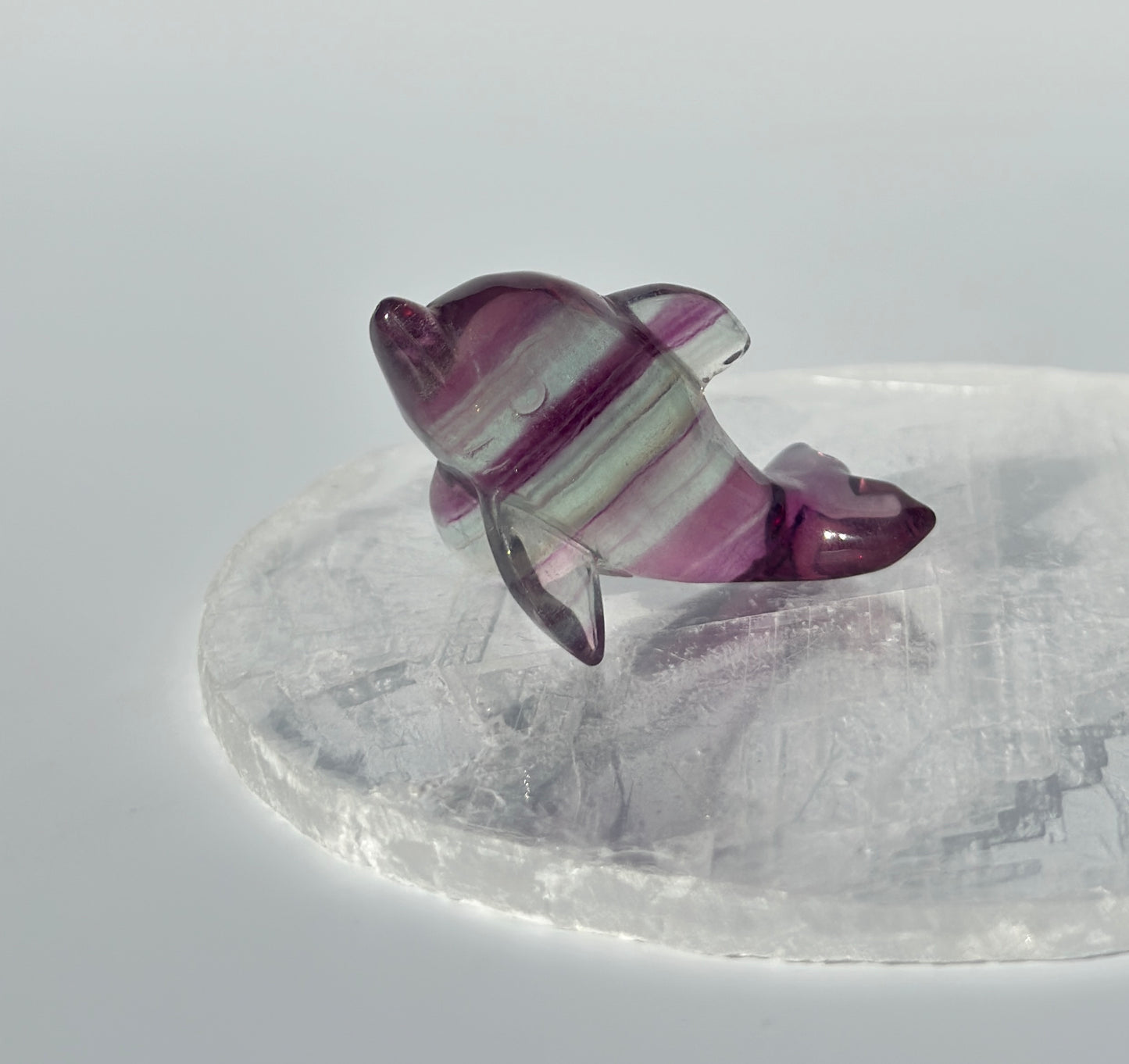 Rainbow Fluorite Dolphin