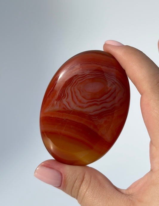 Carnelian Palm