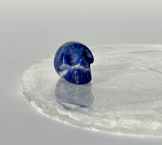 Sodalite Mini Skull