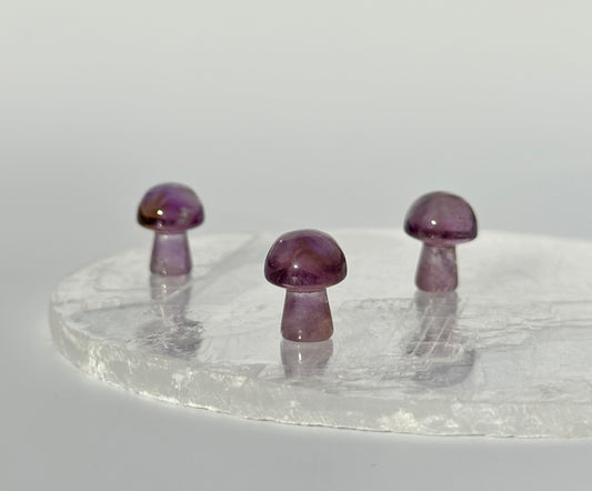 Amethyst Mini Mushroom