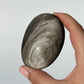 Silver Sheen Obsidian Palm