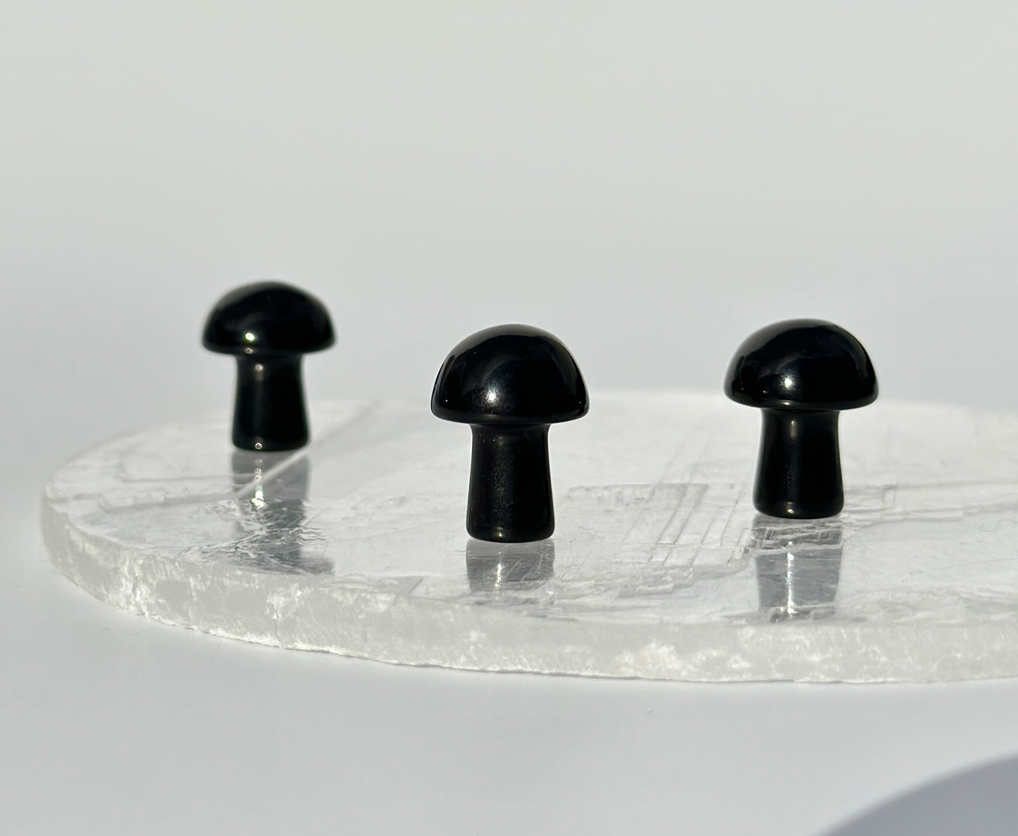 Black Obsidian Mini Mushroom