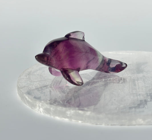 Rainbow Fluorite Dolphin