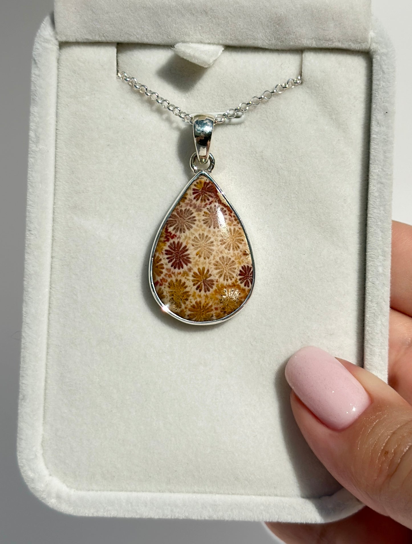 Fossil Coral Pendant