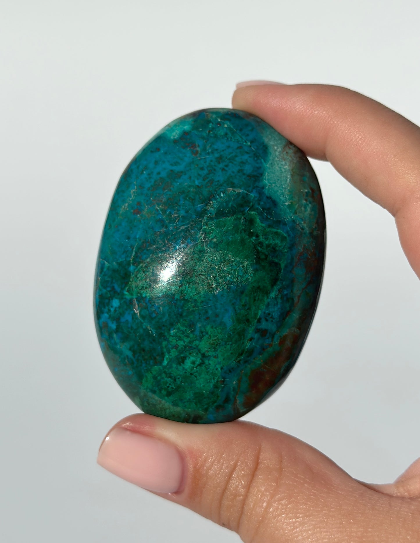 Chrysocolla Palm