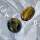 Tiger Eye Palm