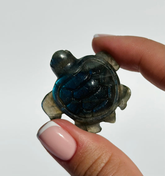 Blue Labradorite Turtle