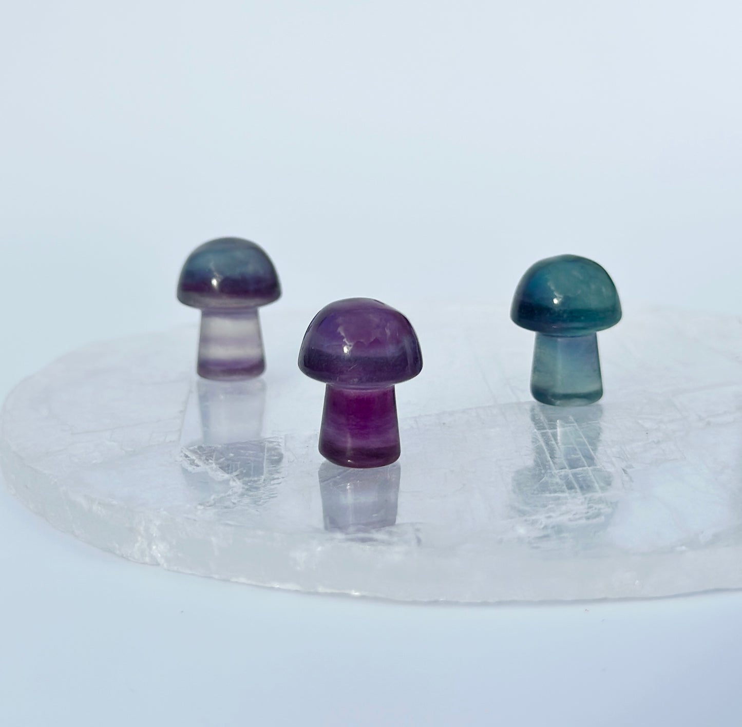 Fluorite Mini Mushroom