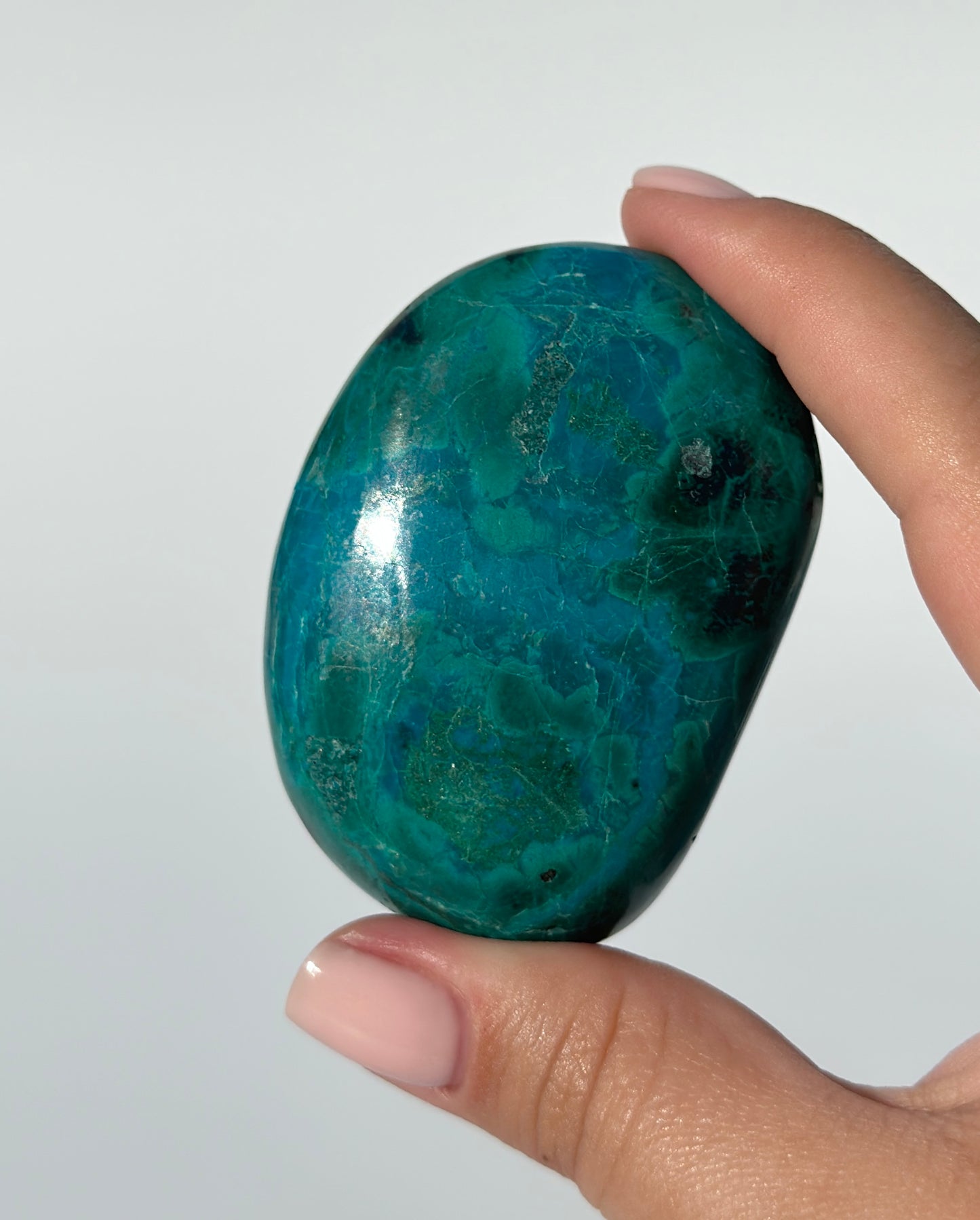 Chrysocolla Palm