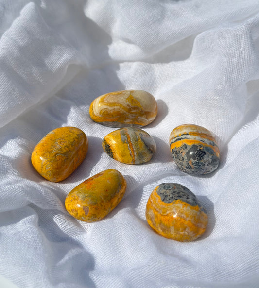 Bumblebee Jasper Tumble