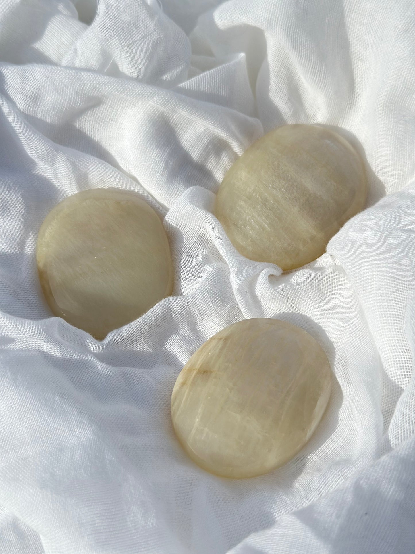 White Moonstone Palm