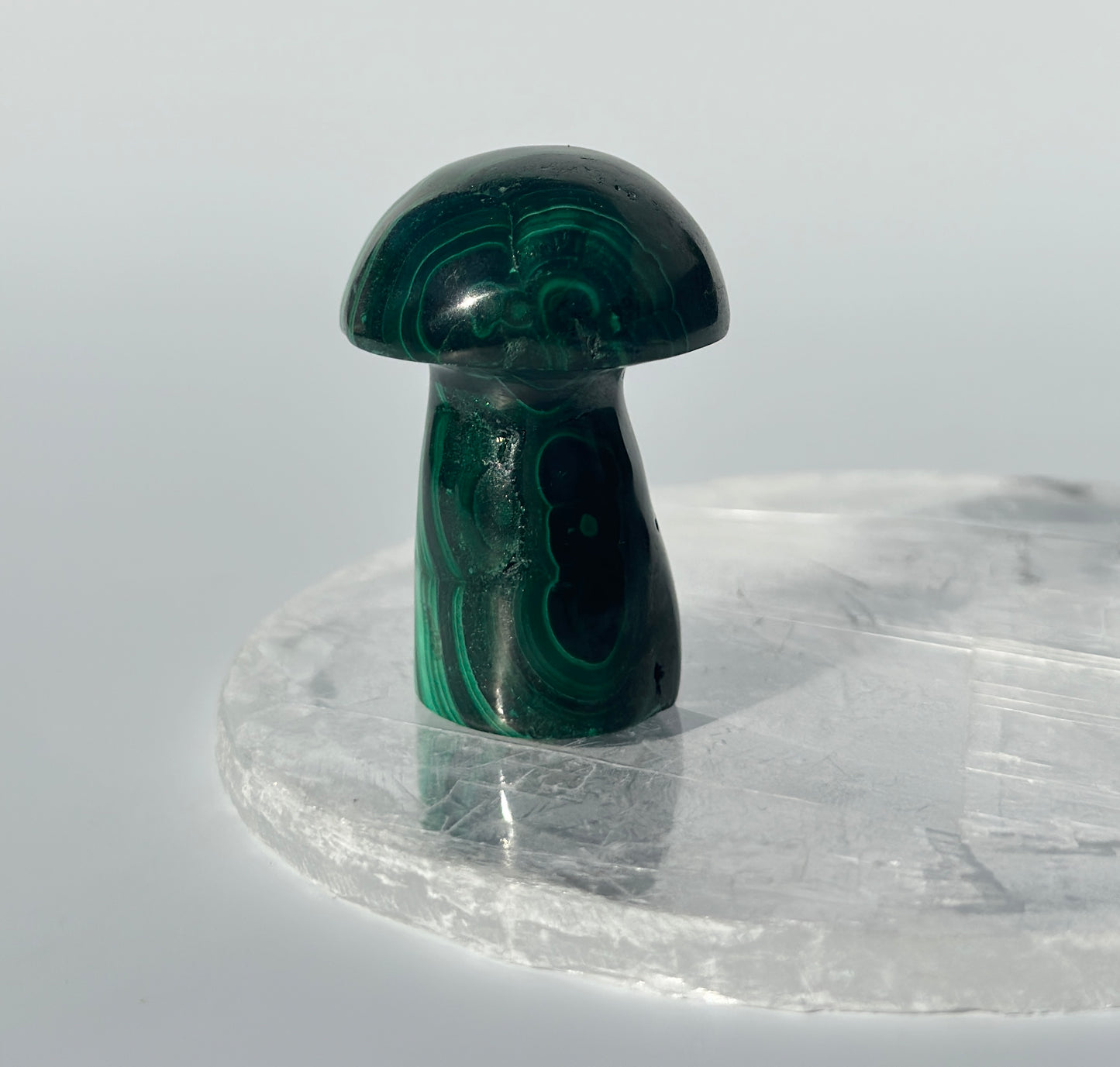 Malachite Mushroom