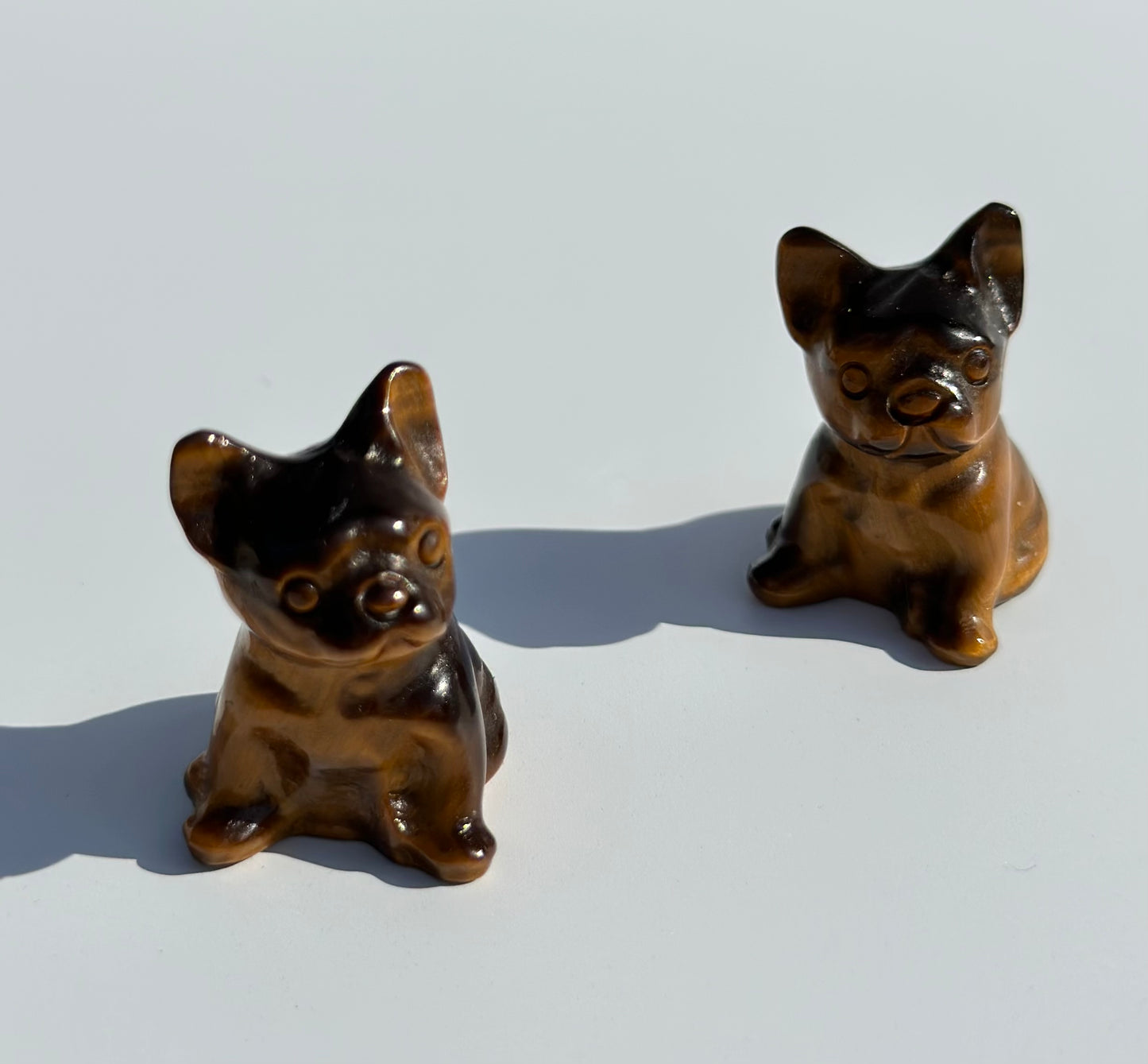 Mini Tiger Eye French Bulldog