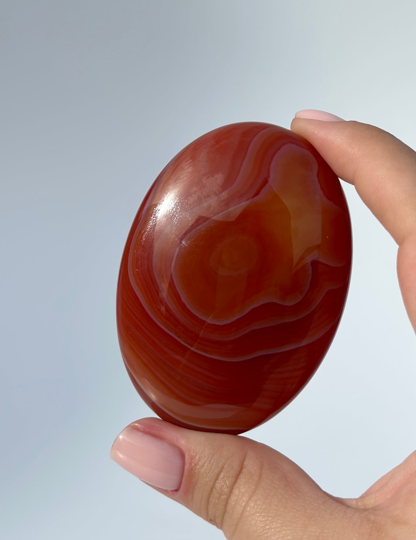 Carnelian Palm