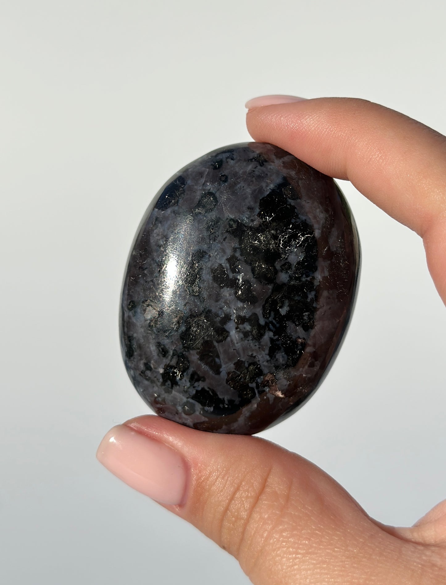 Indigo Gabbro Palm