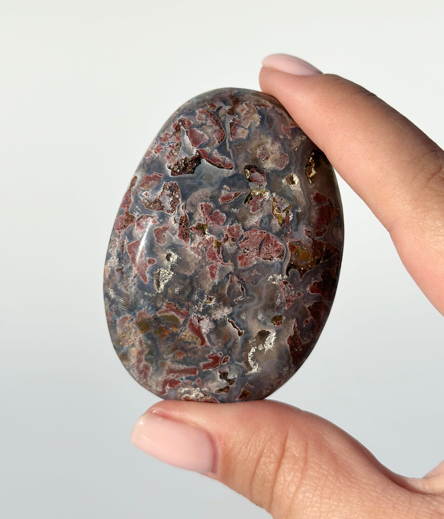 Cosmic Ocean Jasper Palm