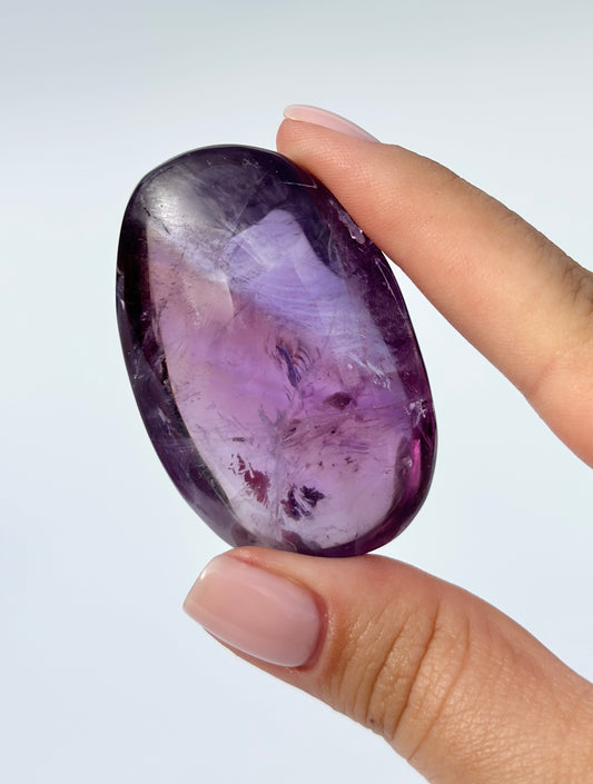 Amethyst Palm