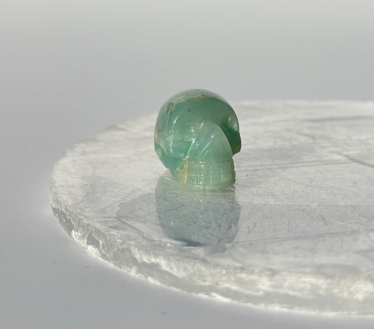 Amazonite Mini Skull