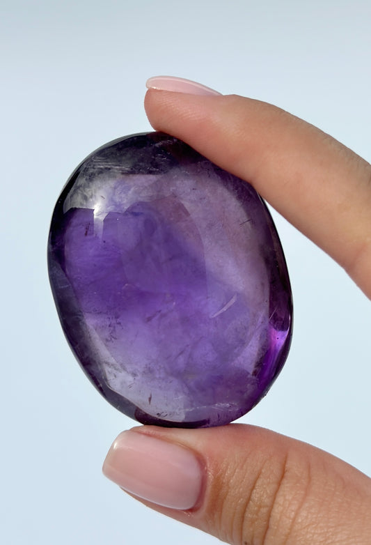 Amethyst Palm