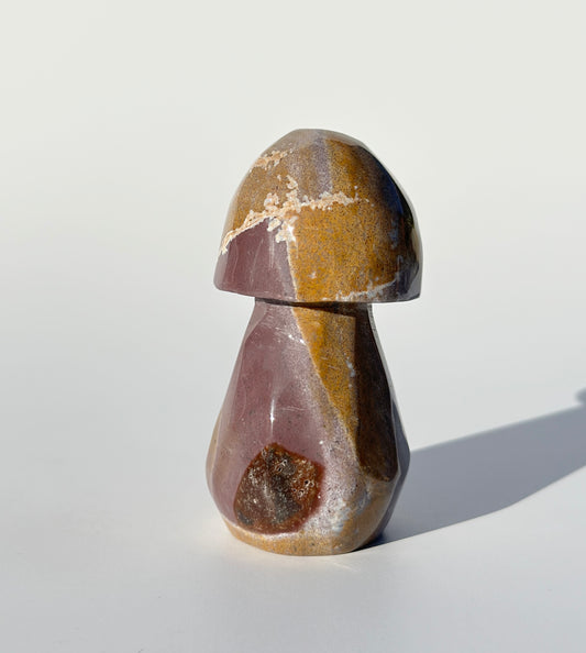 Ocean Jasper Mushroom