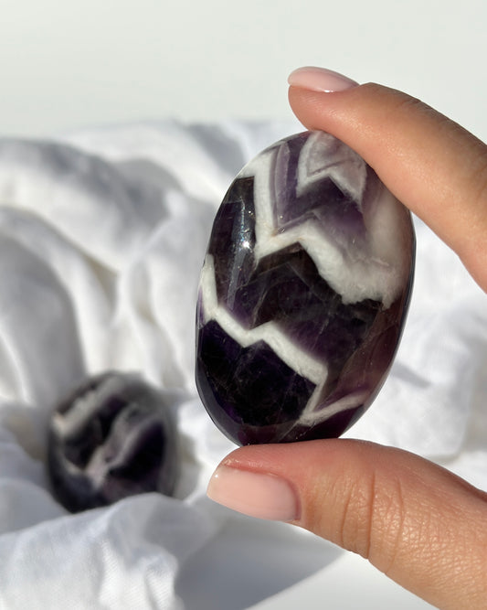 Dream Amethyst Palm