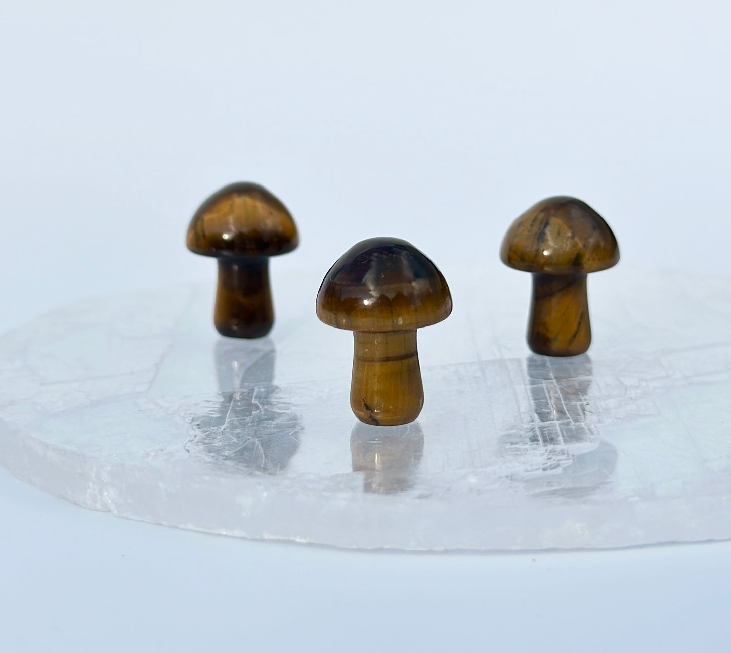 Tiger Eye Mini Mushroom