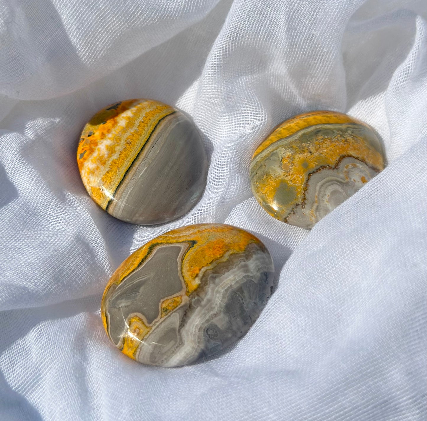 Bumblebee Jasper Palm