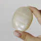 White Moonstone Palm